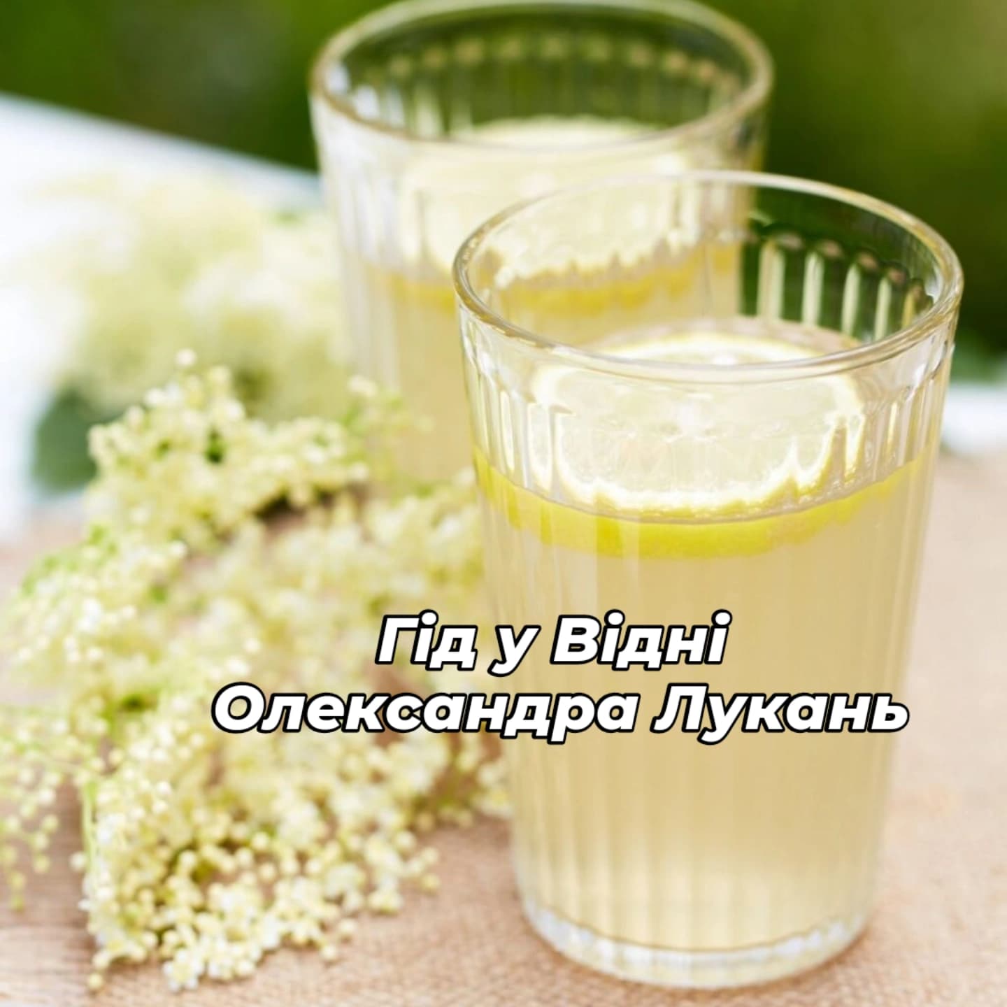  Гід у Відні Олександра Лукань 4