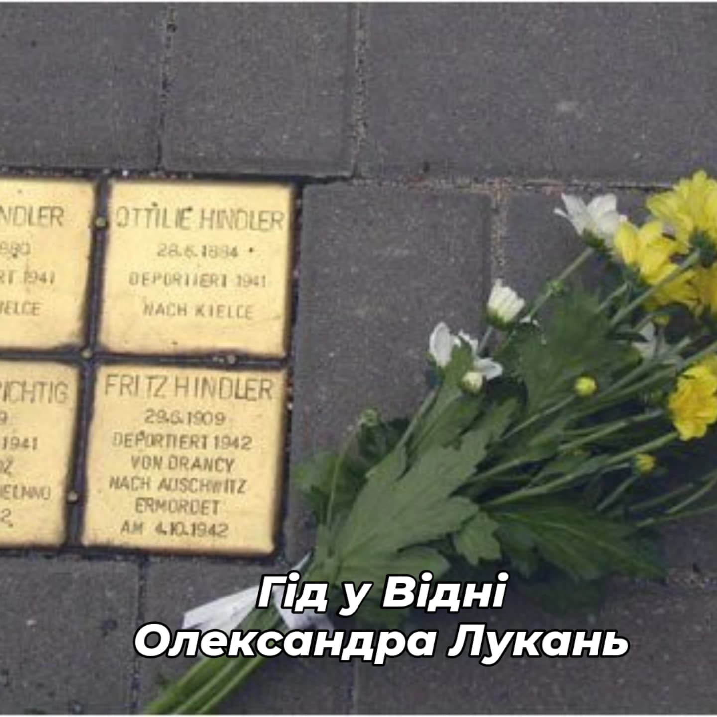  Гід у Відні Олександра Лукань 14